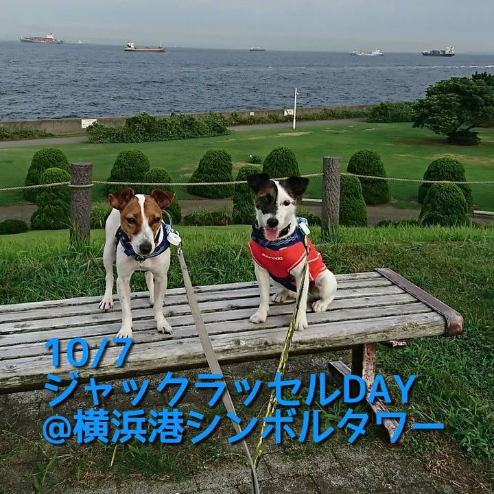 Be2d16d5 fe26 460e b194 27aad80e4dbd 1537192701759