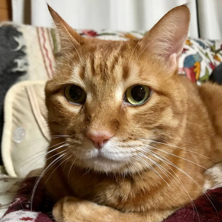 Be2d2bb1 ddf3 4842 84ab b8ddaa690be0 1543066586641