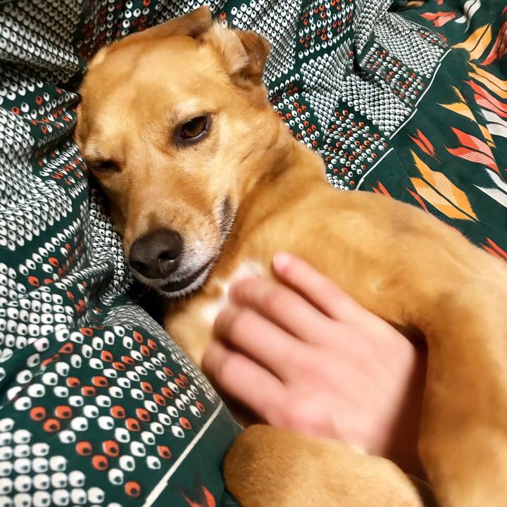 Be2d4765 071a 444f 81bd 14435cc454f9 1555662475710