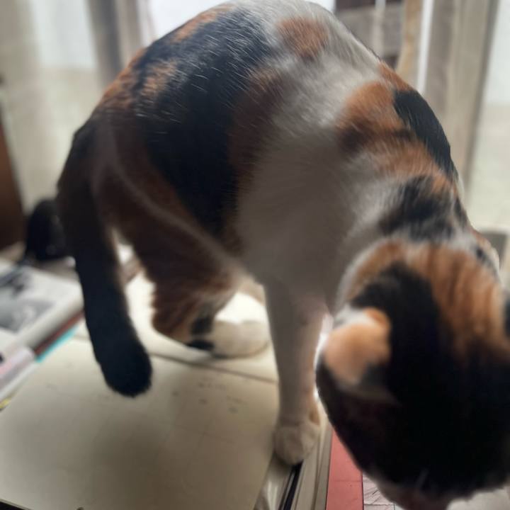 Be2d507c eb8f 4e9e 8e55 325d151181b6 1762054039769