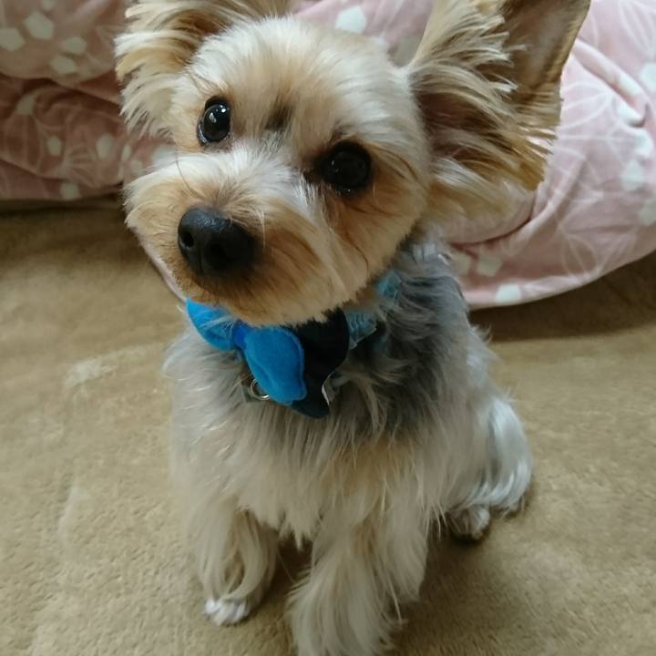 Be2d63d4 db7b 4fcc bba9 4f08deb866e1 1516249738852