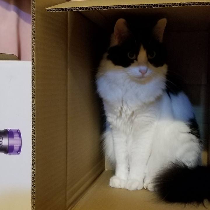 Be2d7b4c 46bf 4f6e 8540 c19d9590b8bf 1582115475158