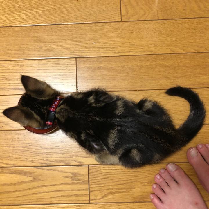 Be2d830f b51c 48f7 a0ba 9f6c6b96b923 1724452048081