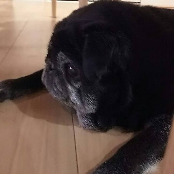 Be2db5bd 2362 4ded 9b82 f8af4519773a 1538834008185