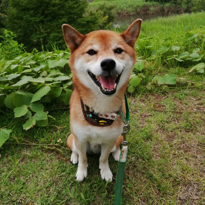 Be2dcf42 23fd 4efa b2ca 7c0520ade2c5 1627544265311