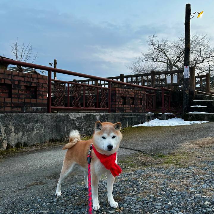 Be2df6f7 b992 4175 b594 4f95e65c3847 1770898026085