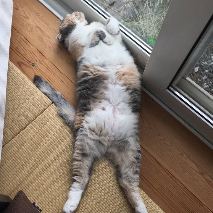 Be2e0fd0 8930 4bc5 beb7 6649d38bf693 1566124756365