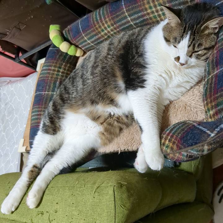 Be2e17e8 d474 4632 ad7d 7692a25ebabf 1693465540398