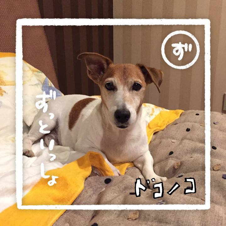 Be2e8921 0c43 41a7 83f4 87eae5bb785a 1685948358607