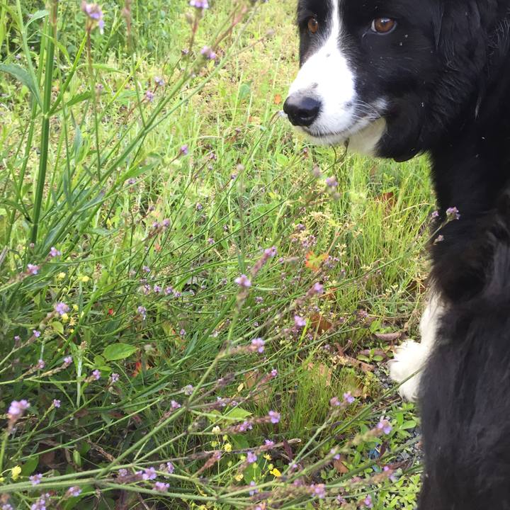 Be2ea79a 8348 44de a28b 8e9453306b88 1556839822685