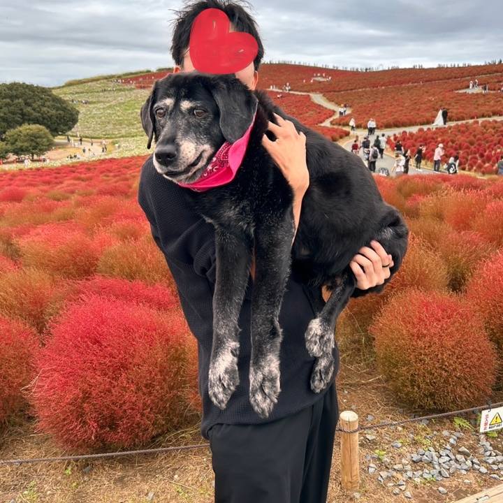 Be2ec0cd 4f07 46b5 bd02 a46951d1ff8d 1729763301796