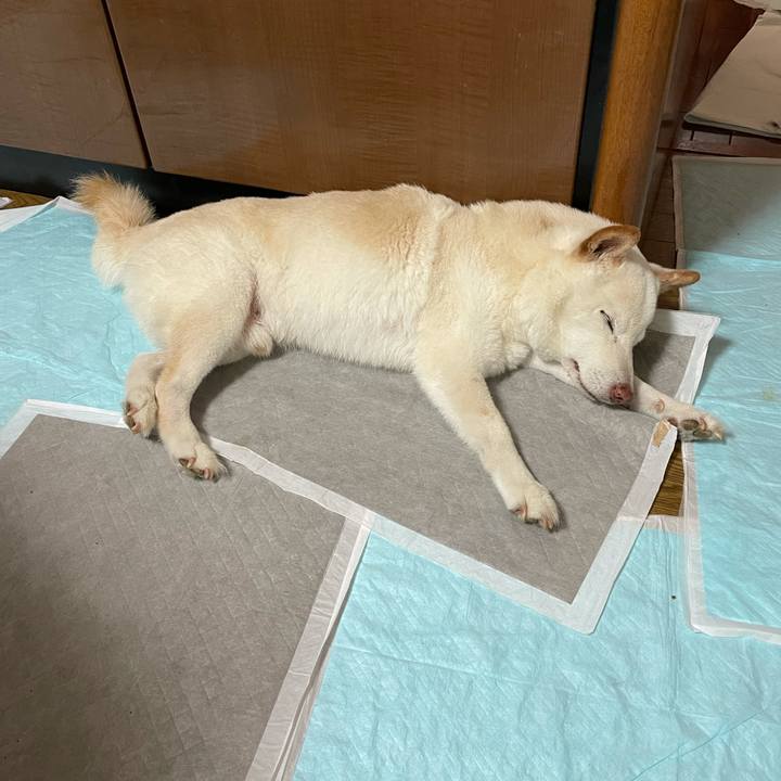 Be2ef29a 761d 4927 8550 028c8b3027e1 1634099774903