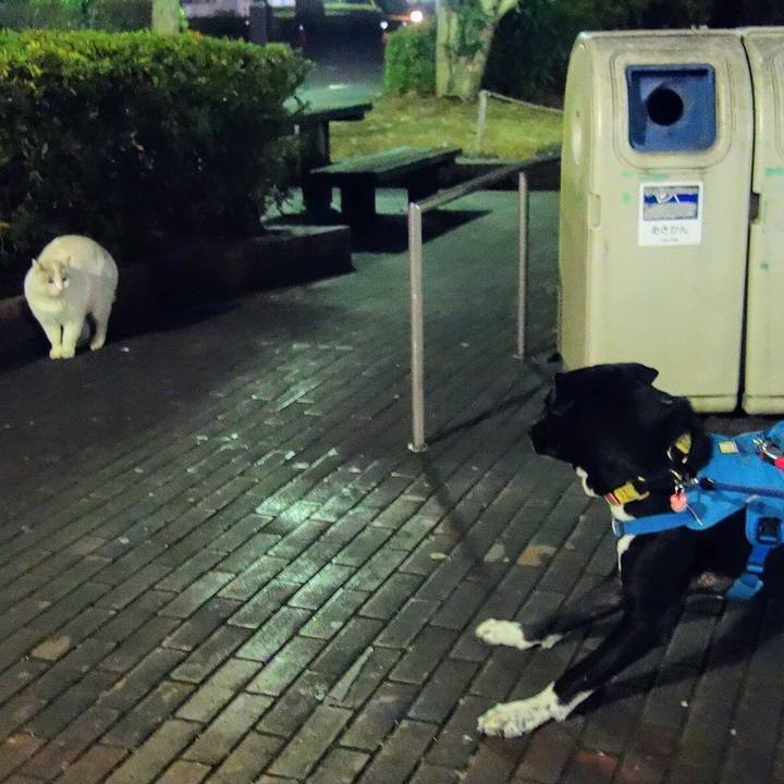 Be2eff9f 7481 4451 b2aa bb1f0a997405 1610708468288