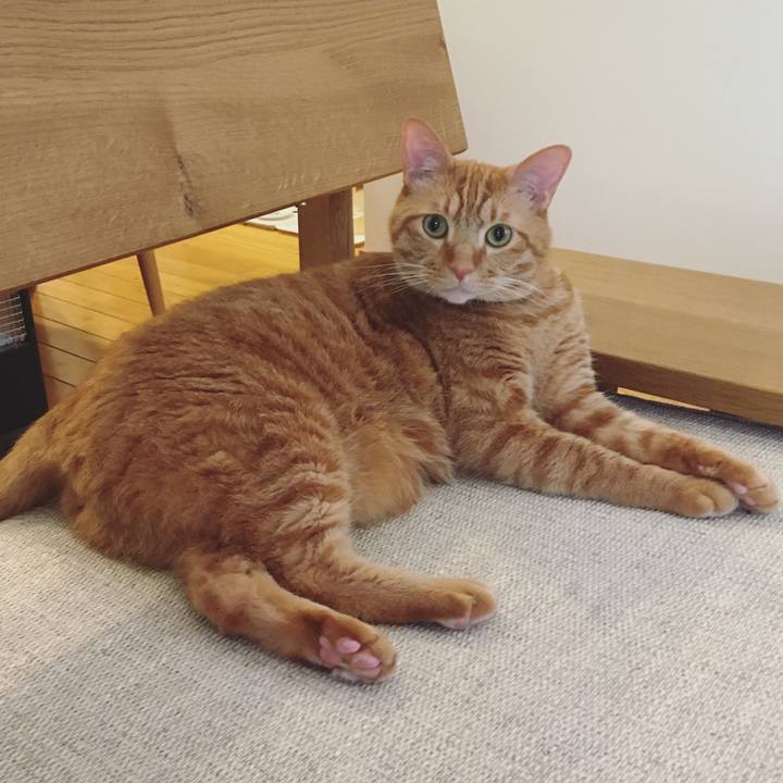 Be2f023d 8e9e 4732 9d98 35fc010b7ed2 1592612265292