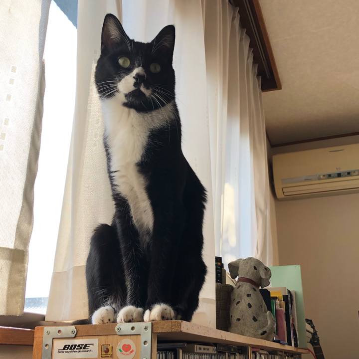 Be2f238d 0497 4eef b9cb 88267d2fa018 1543651420961