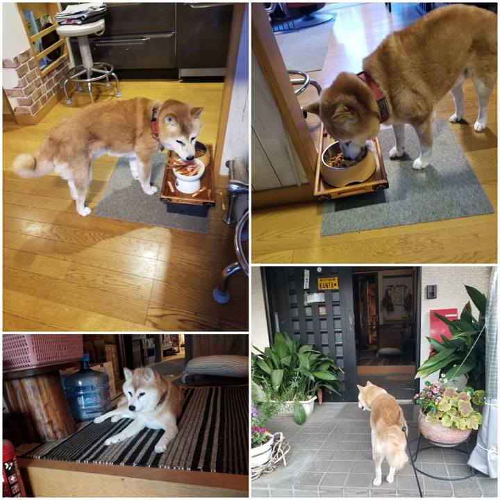 Be2f252e d0b5 47de afe5 10edcb61bea4 1762240349216