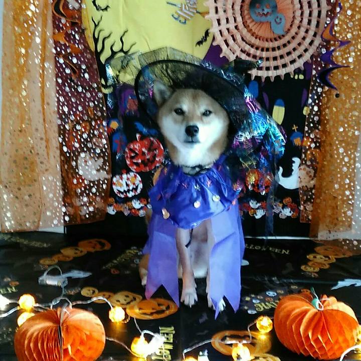 Be2f2a1e 65e3 4691 b271 7c73153c63e5 1570067341183