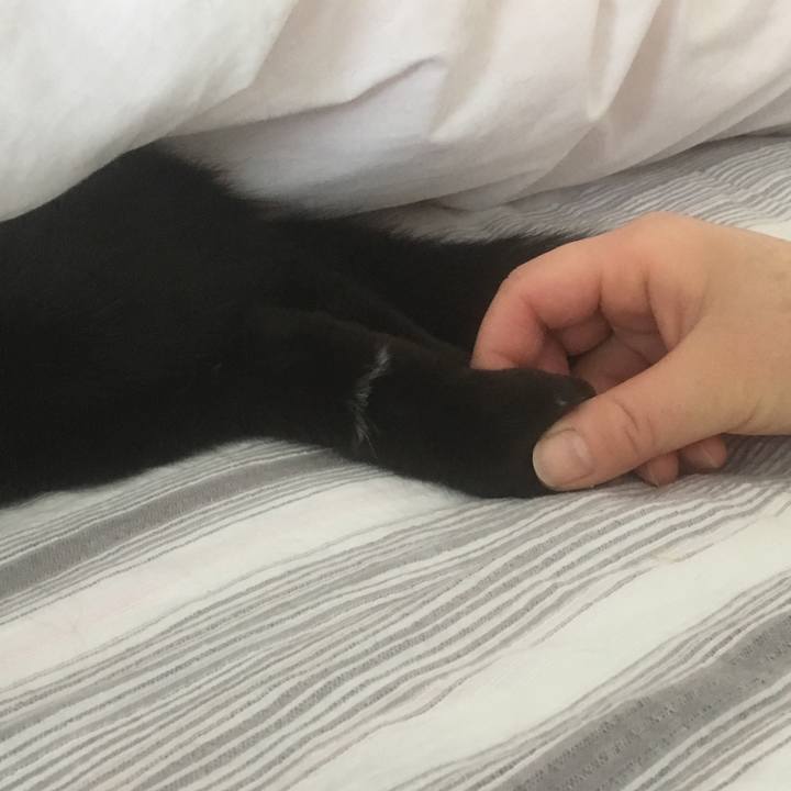 Be2faa5f 1b5d 4af1 99fd 6a0e3b0a708d 1524138285908