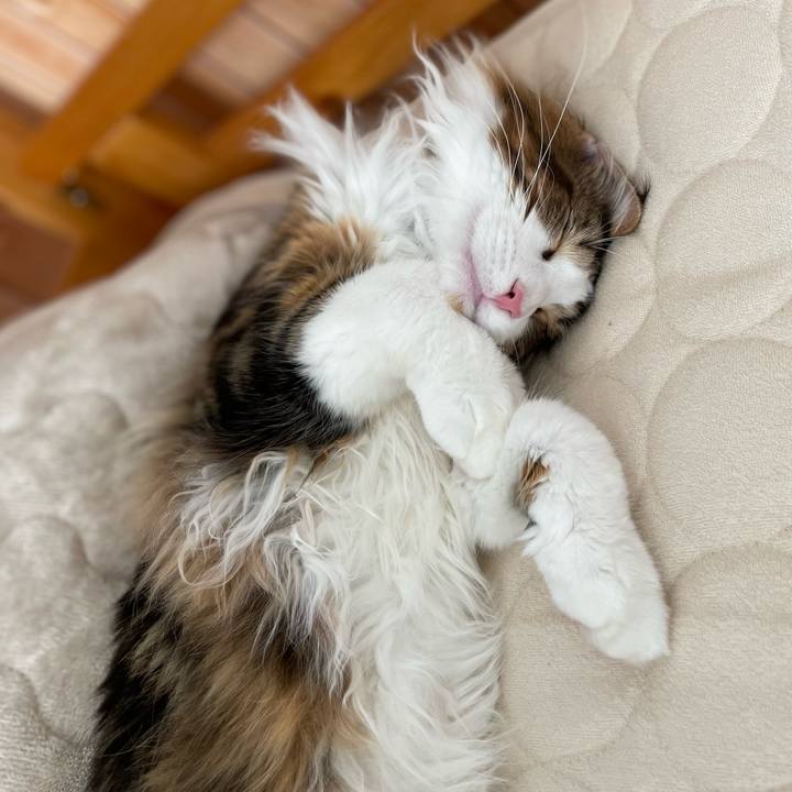 Be2ffe48 0362 4e30 b8ff 91a8ef9507b8 1646538426783