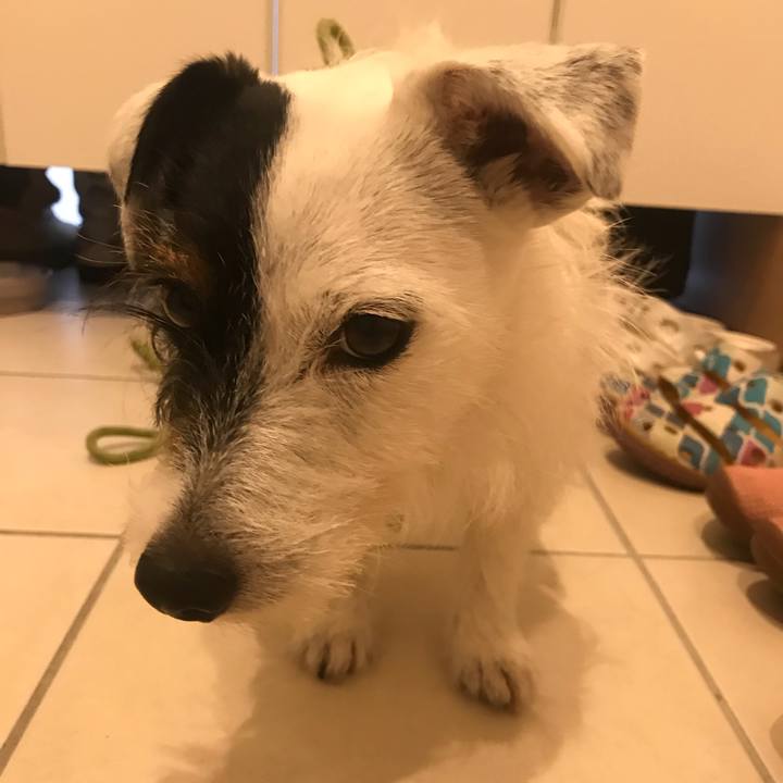 Be3039a9 045e 4c91 bb74 f5ac45fcb9f3 1528970922110