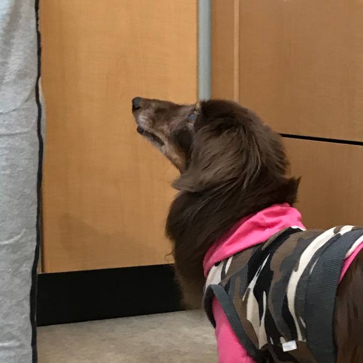 Be3049cd 28de 4e61 bcd4 6dd8675096a6 1525987543942