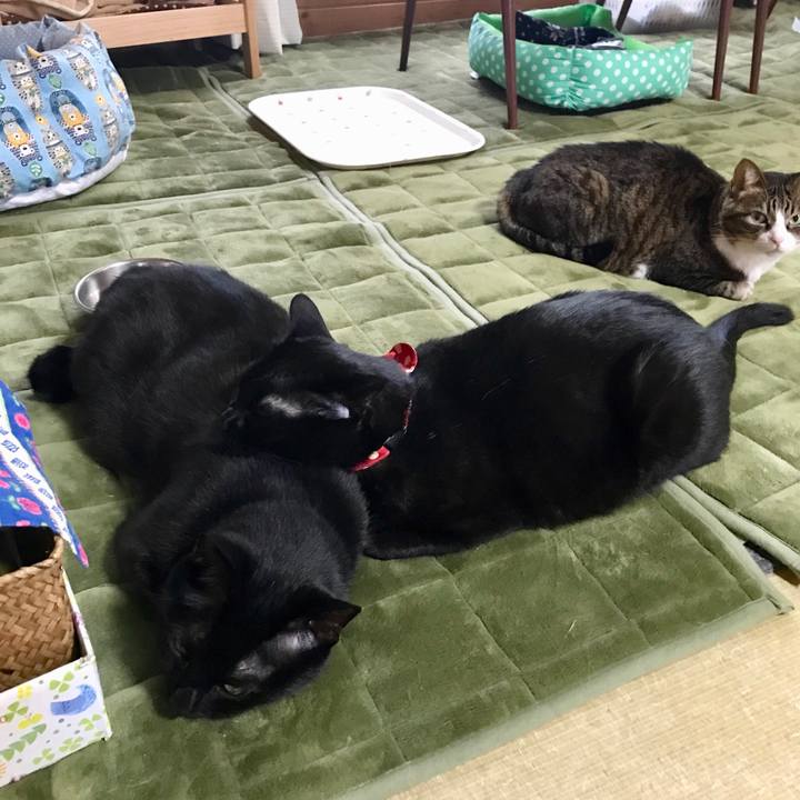 Be30615a 75b5 44ba bf73 c977aaa6e9fc 1524700359206