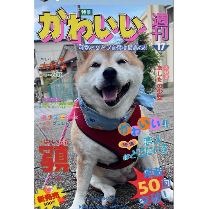 Be306fda a031 401d 8af8 86121613f8f9 1723823570337