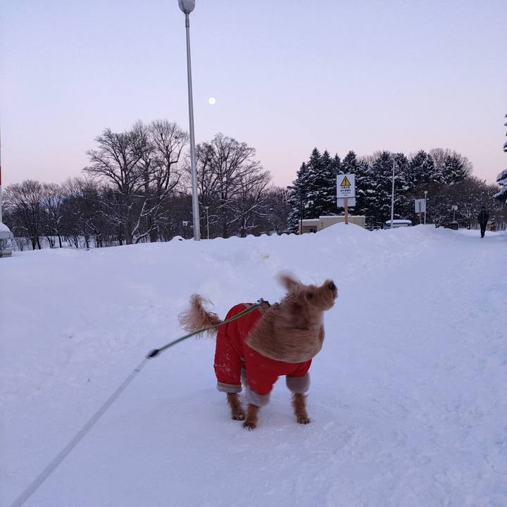 Be3076be ec2c 4cdd 97e6 ee4e29b474e4 1581376405647