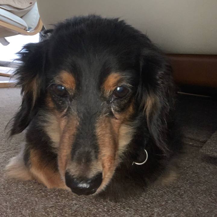 Be30fd90 105c 47a4 a8f8 72192e1fc5ec 1568412633438