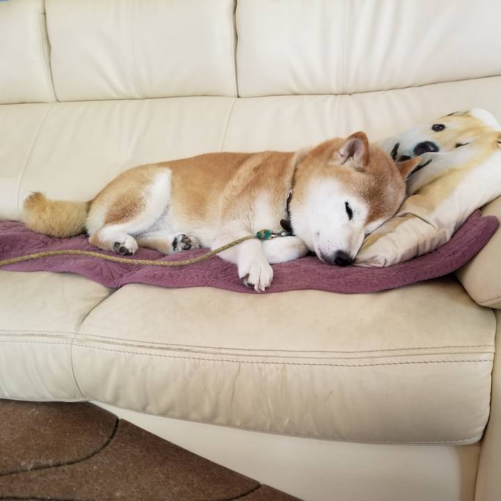 Be30fdf4 f4cc 4923 a5e1 a08e3e6dce9d 1693704297976