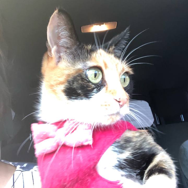 Be312d2a c6de 462c 972d 499a63941cbb 1568277548027