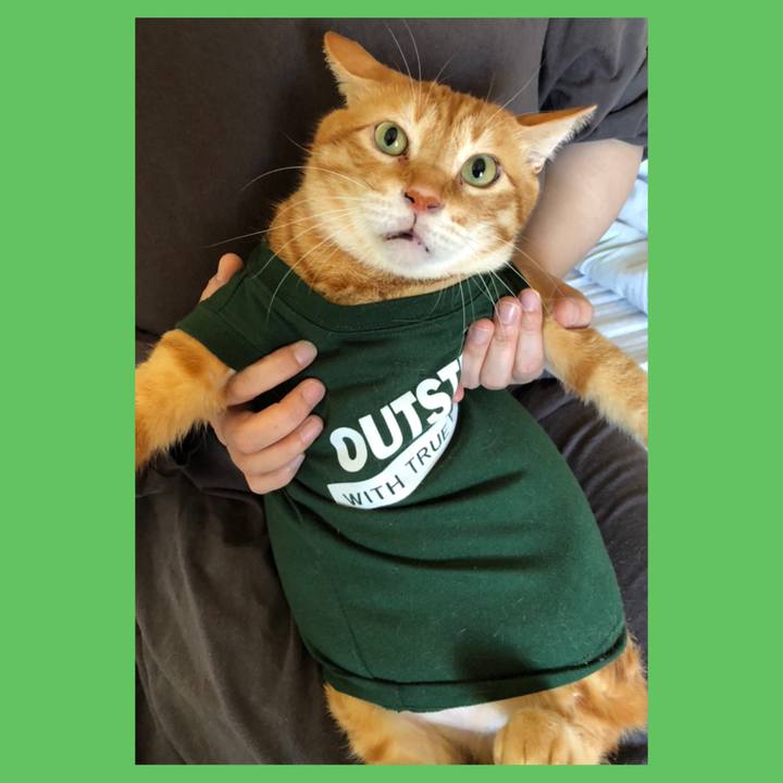 Be3136c5 66c9 4f32 9e5e 48830a2c3a42 1630730167862