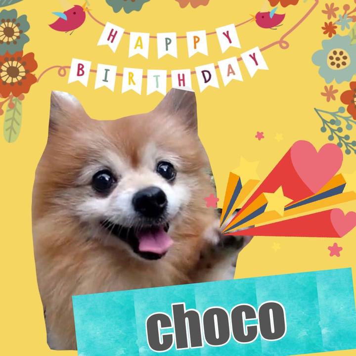 Be314033 5744 4a30 bceb d9f1613fb3c7 1542618423375