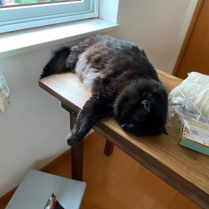 Be31755f 0404 4efa bac5 dcad5ea65c86 1630470369109