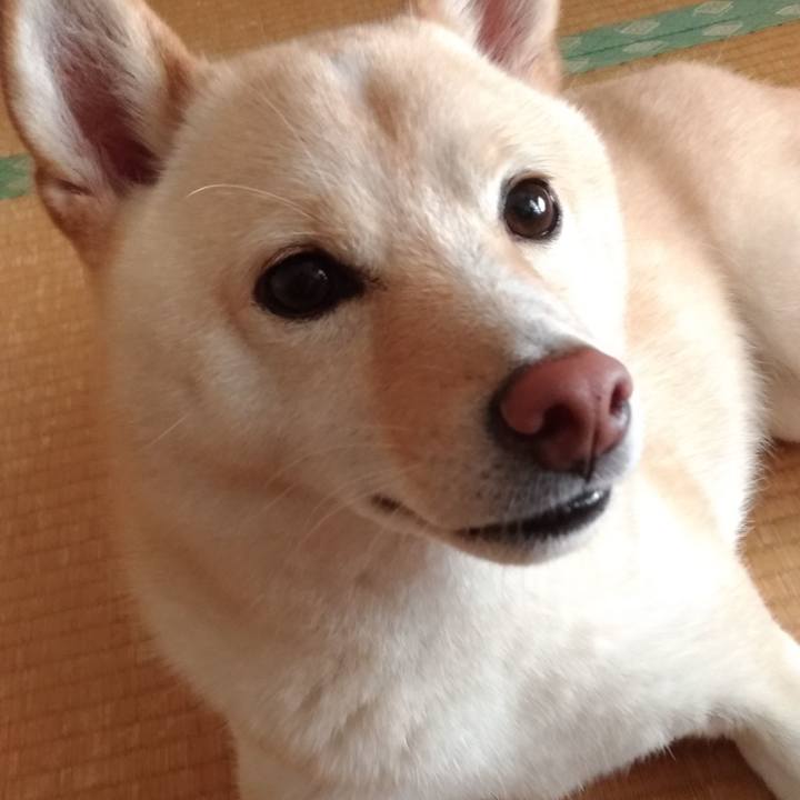 Be318c2c 64f2 4b56 b668 220cd80f0b07 1567811588516