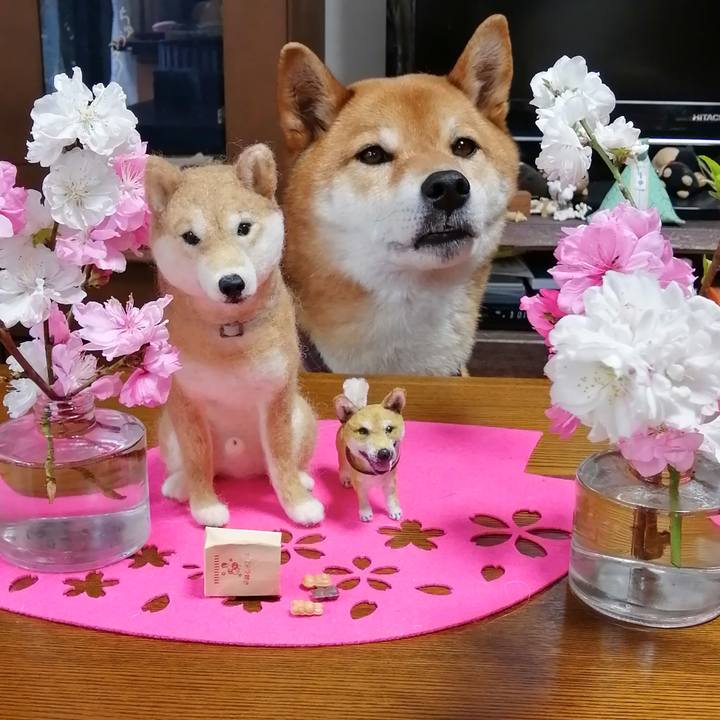 Be319add c9bc 474c beb6 baa4220b04e6 1585372694797