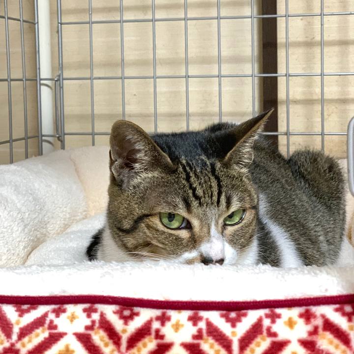 Be31de0c db49 430b 9d45 737a72d03fc5 1573693644893