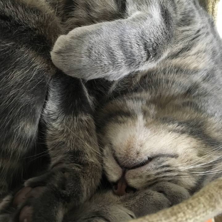 Be31dee0 e92b 4fed aba6 c506aa83fcc0 1566817192000