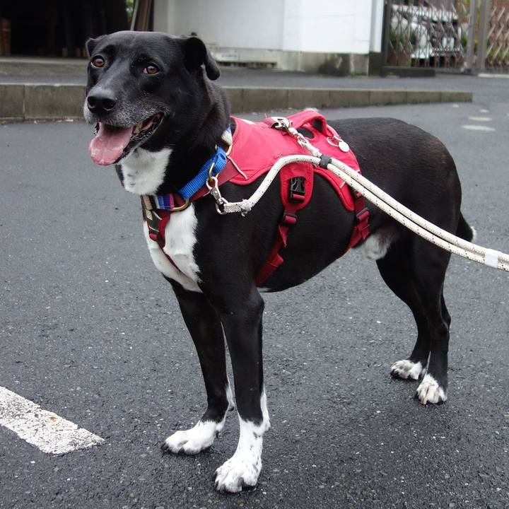 Be320ae0 6c83 4c0f 8294 51fc747cc254 1662595417866