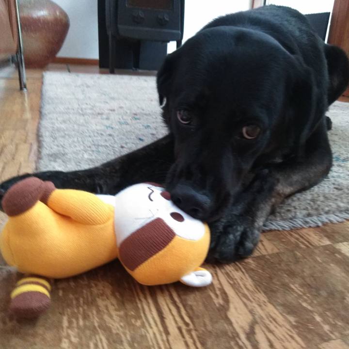 Be323f48 fe41 48ff 8b68 8b824efbd51e 1569048667128