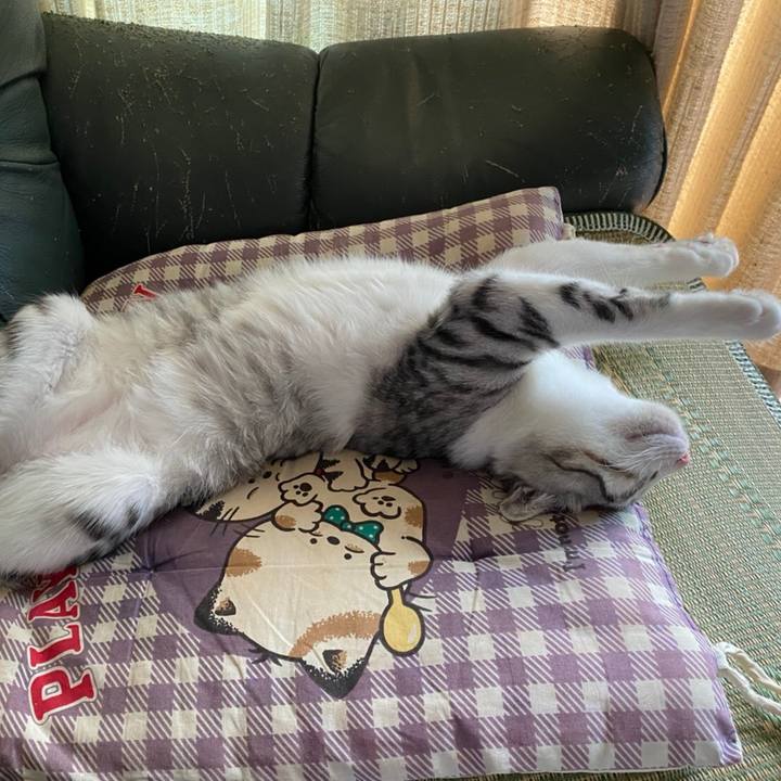 Be326230 b9c8 4e99 b643 3b68f6ecbfa3 1603319306928