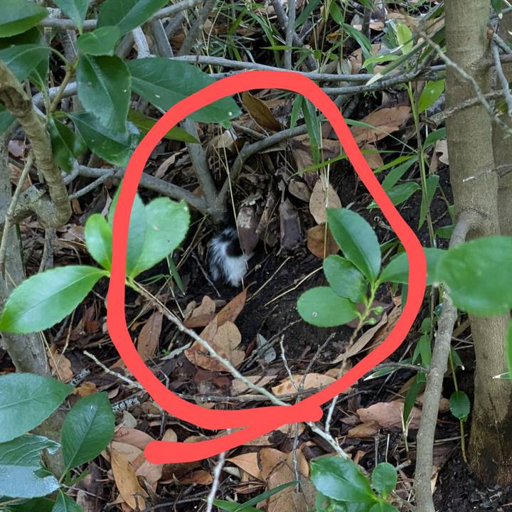 Be329e62 2de3 4f00 997c 9819a1fcd286 1752681966719