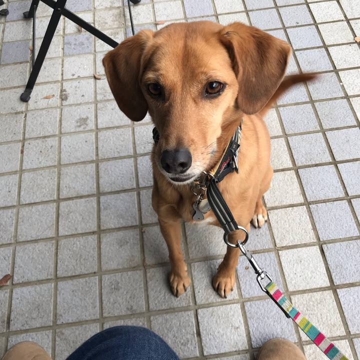 Be32ab55 46ac 4293 8945 9640fbb1324e 1545813770286