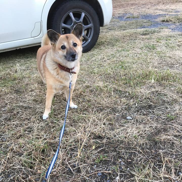 Be33325b 3dcd 4275 8915 4c81a54bac21 1510438040898