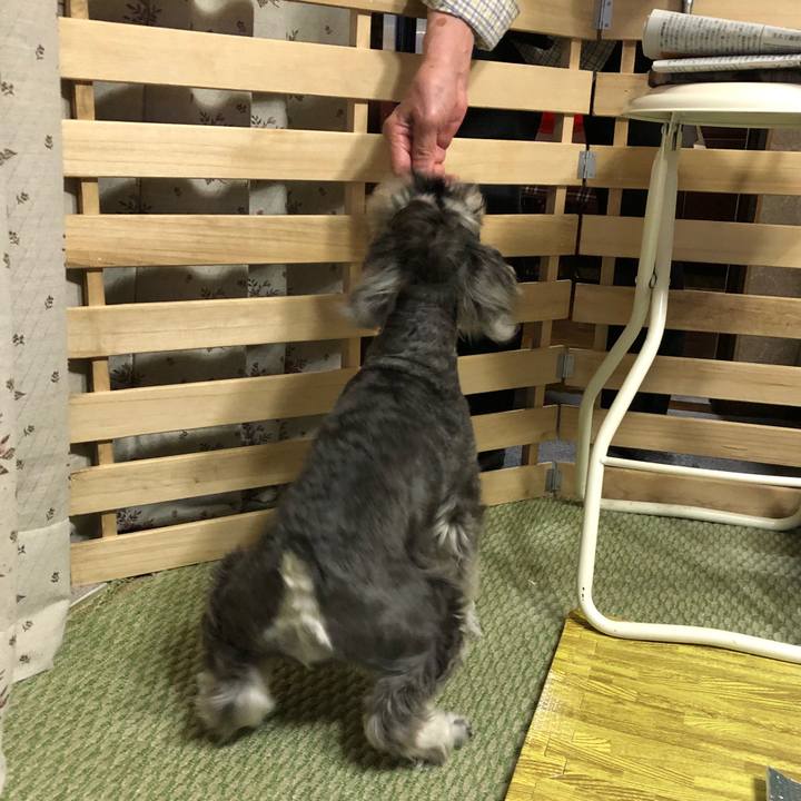 Be3359ff 7924 4f4f bafd 2d0cb455bbd4 1526737737471