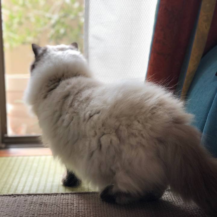 Be339ec8 f3b9 4b5f b995 3a633f9e457d 1639311367000