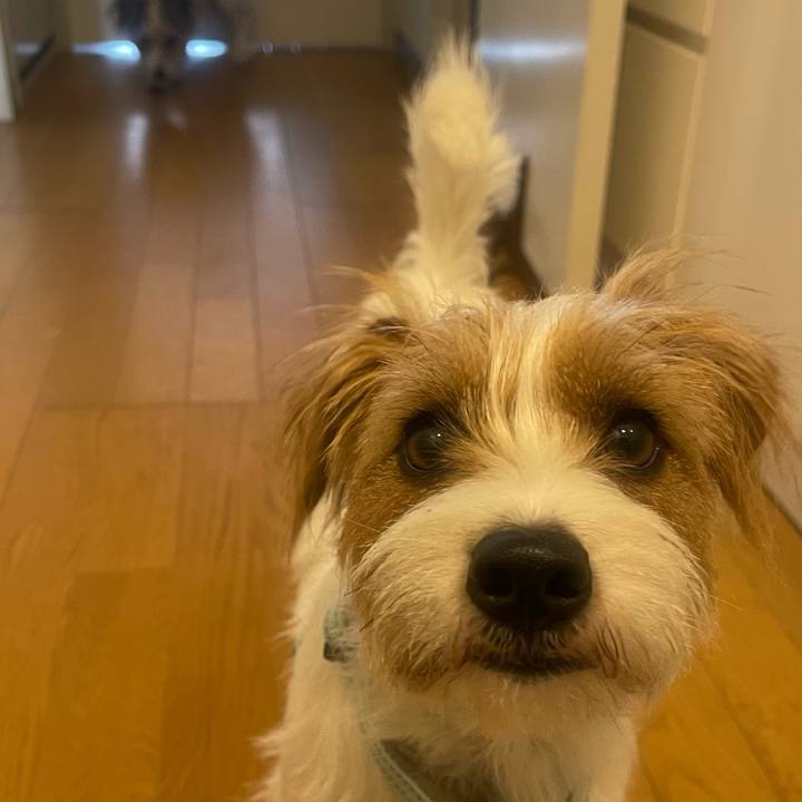 Be33f06f 5710 4cdb b3cd cff3a6ad4b94 1773930967593