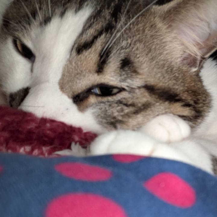 Be340124 014e 4c6f 87c0 87bbbd6b96e8 1737154044307