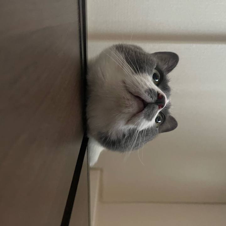 Be340b1d 5423 4770 87dc 9f3faae9998d 1717587622007