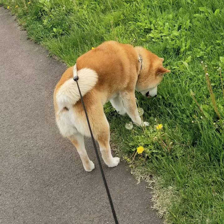 Be345225 d143 4709 a944 6e867e2f0a20 1653028376169